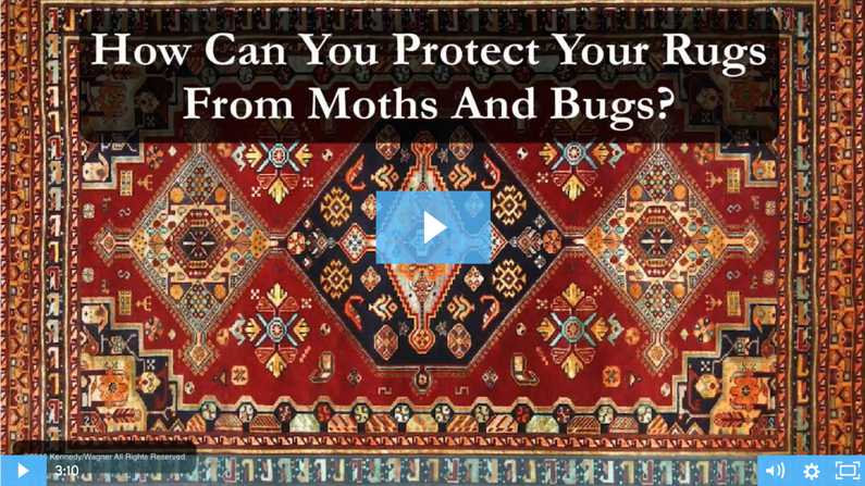 Protect Your Rugs From Moths and Bugs